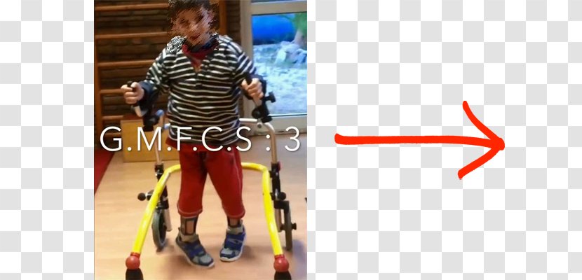 Physical Therapy Gross Motor Function Classification System Cerebral Palsy Child Brain - Sports Equipment Transparent PNG