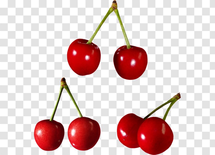 Sweet Cherry Cerasus Berry Food Transparent PNG