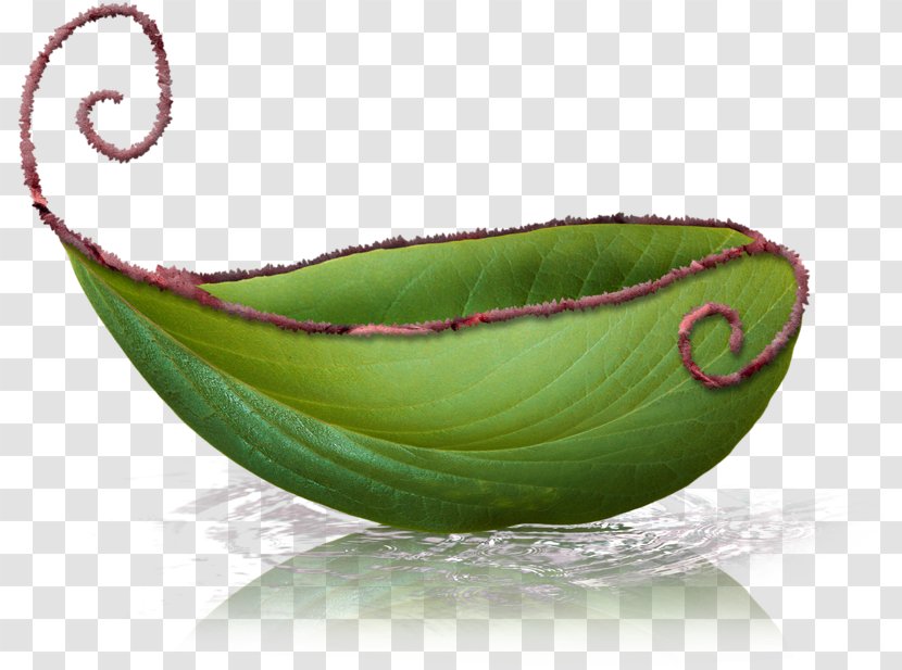 Leaf Boat - Designer - Green Transparent PNG