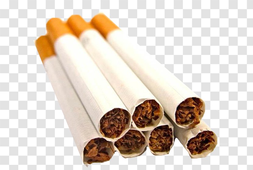Tobacco Smoking Cessation Ban Electronic Cigarette Aerosol And Liquid Transparent PNG
