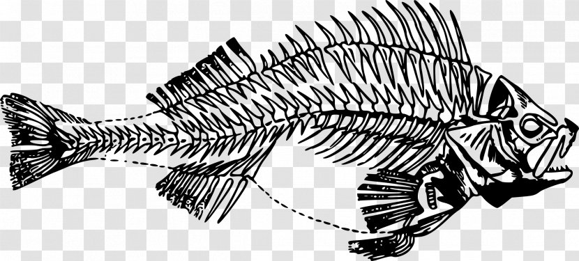 Fish Bone Skeleton Clip Art - Diagram - Pisces Transparent PNG