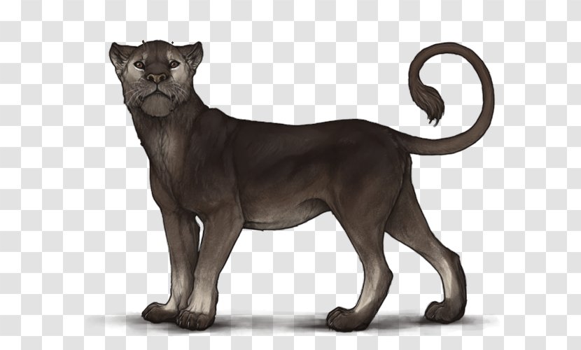 Lion Felidae Big Cat Caramelization - Horse Markings Transparent PNG