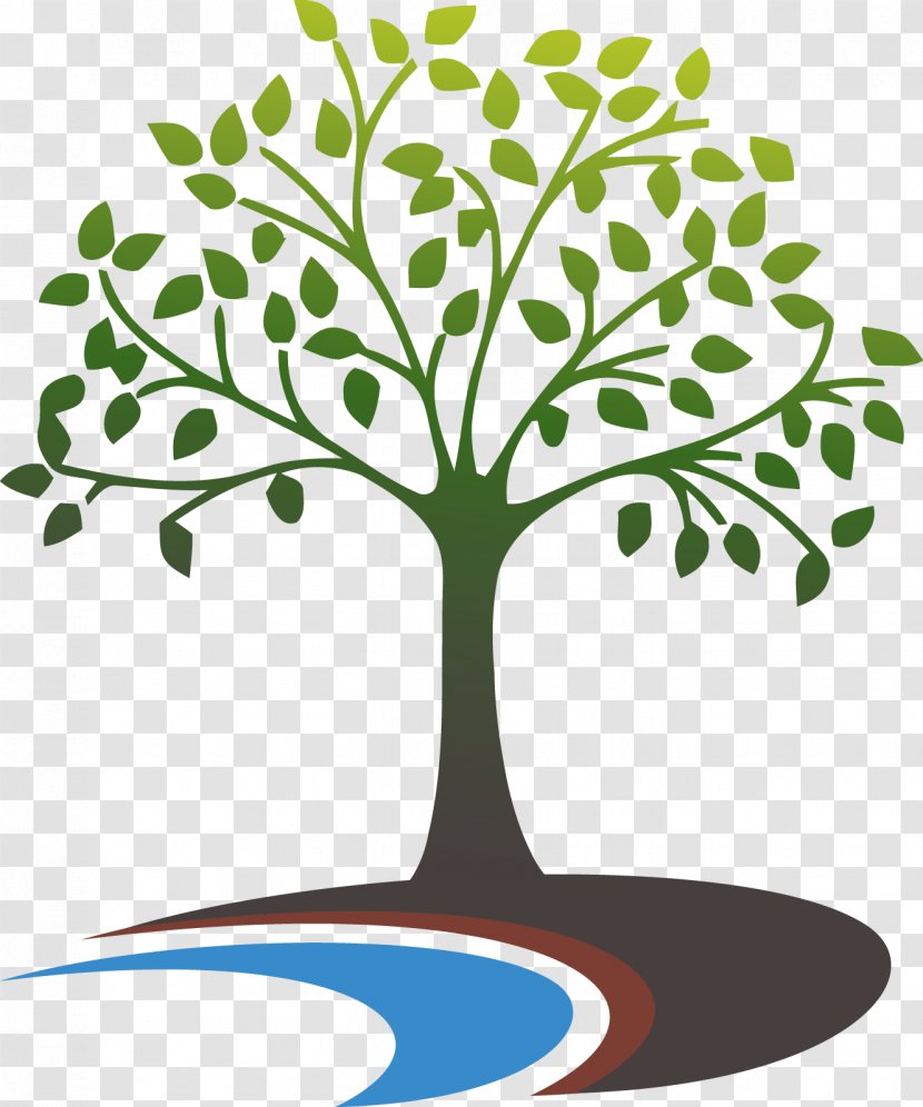 Westbrook Health Services, Inc. Care Drug Rehabilitation - Tree Transparent PNG