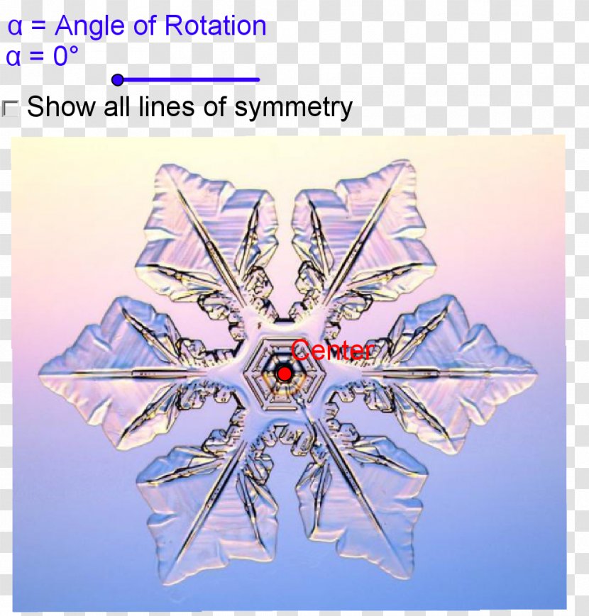 Snowflake Dendrite Shape Microscope Hexagon - Snow - Symmetrical Lines Transparent PNG