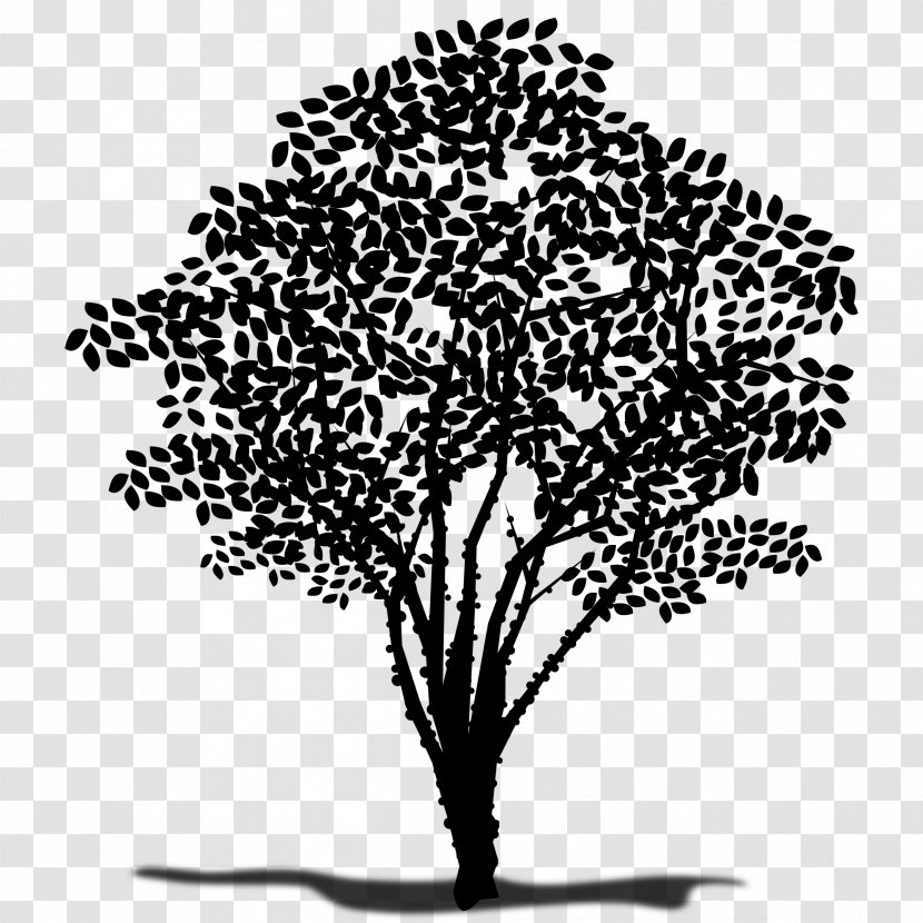 Clip Art Image Silhouette Illustration - Tree - Woody Plant Transparent PNG