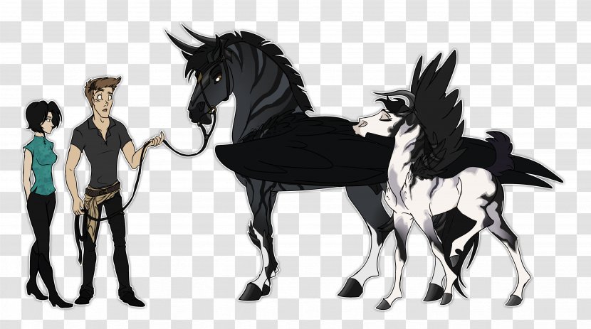 Mustang Stallion Colt Foal Pony Transparent PNG
