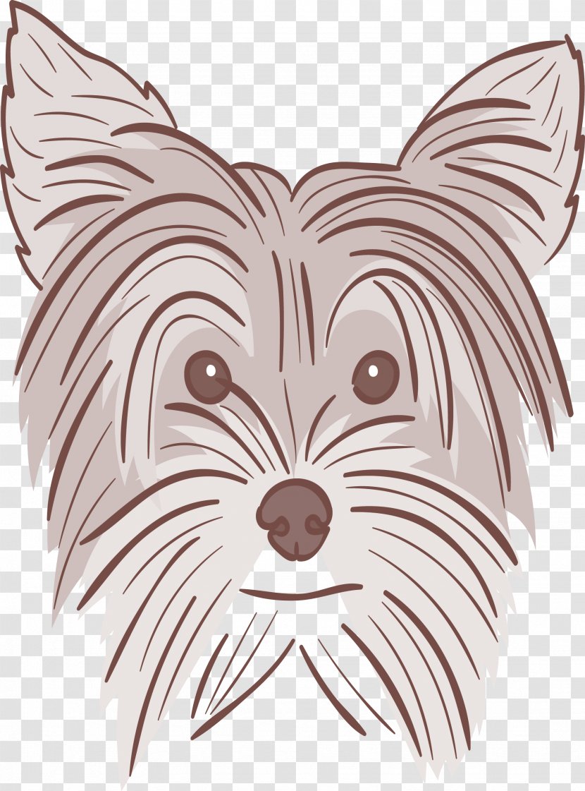 Yorkshire Terrier Puppy African Wild Dog Cat Pet - Cartoon - Painted Transparent PNG