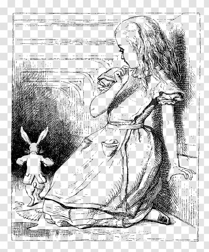 Alice's Adventures In Wonderland White Rabbit Aliciae Per Speculum Transitus Dodo - Fiction - Vintage Alice Transparent PNG