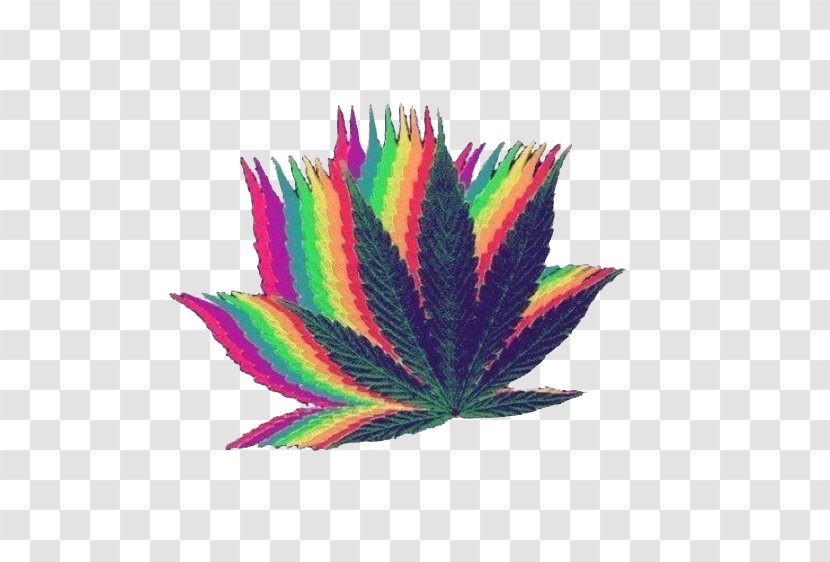 Desktop Wallpaper Cannabis Smoking Rastafari - Leaf Transparent PNG