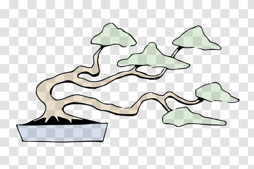 National Bonsai Foundation Styles Tree Trunk - Trees Transparent PNG