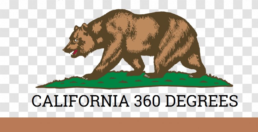 California Republic Flag Of Yes Transparent PNG