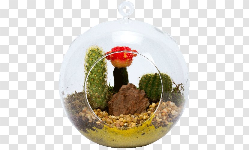 Flowerpot Plant Transparent PNG