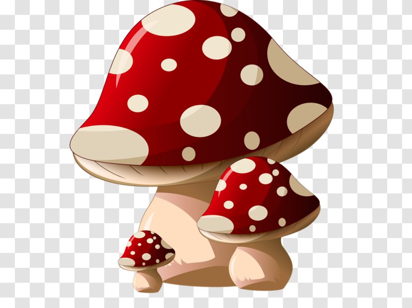 Common Mushroom Amanita Muscaria Clip Art - Fungus - Mushrooms Transparent PNG