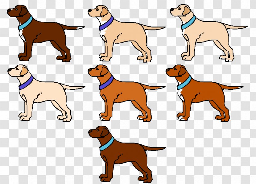 Vizsla Puppy Dog Breed Companion Sporting Group Transparent PNG