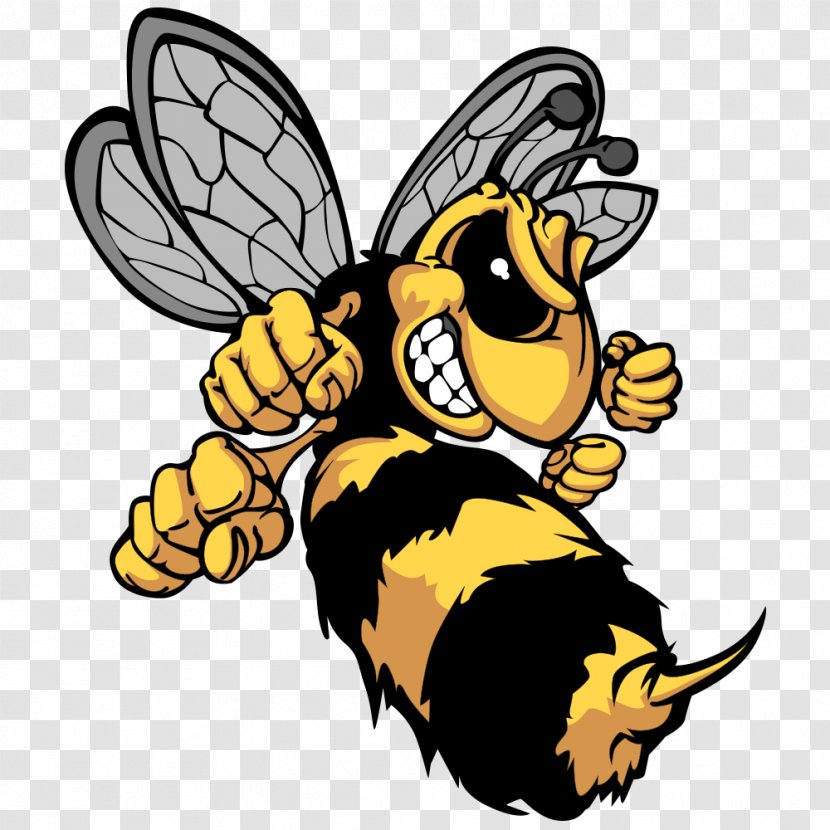 Bee Hornet Cartoon Clip Art - Fauna - Fist Head Bumblebee Transparent PNG