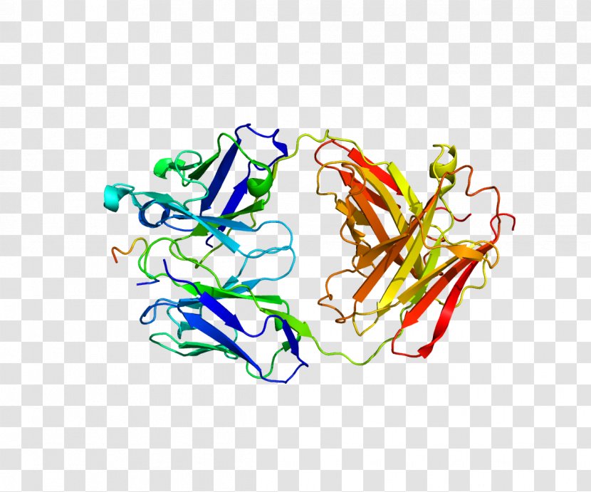 Osteopontin Protein Structure Bone - Flower - Silhouette Transparent PNG