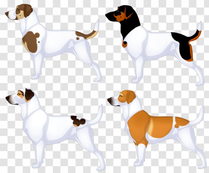 Dog Breed English Foxhound Beagle American Harrier - Lakeland Terrier Rescue Transparent PNG