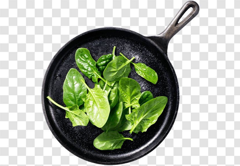 Spinach Spring Greens Leaf Vegetable Food Transparent PNG