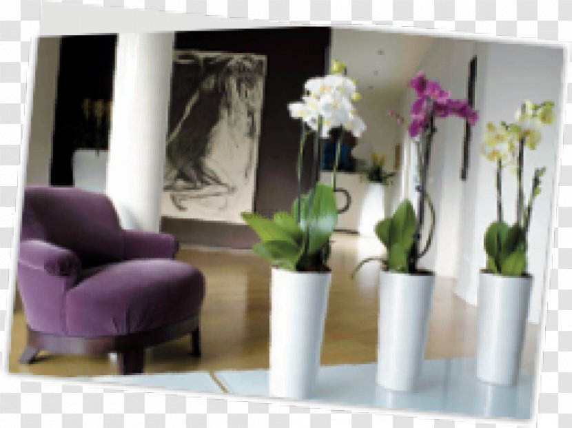 Floral Design Ardea, Lazio Vivaio Crescenzo Garden Nursery - Cactus Vase Transparent PNG