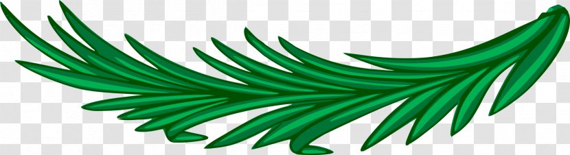 Bay Laurel Leaf Branch Clip Art - Leaves Transparent PNG