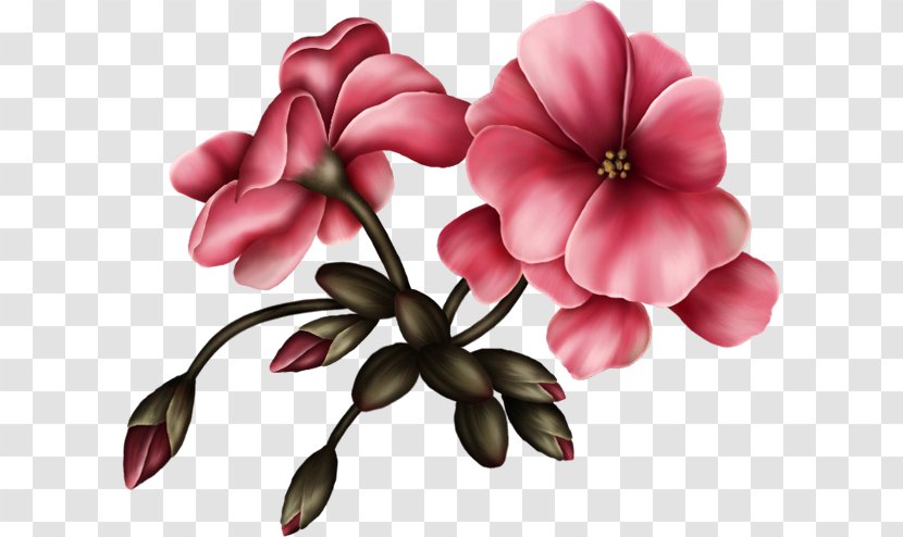Flower Bouquet Animation Floral Design Transparent PNG