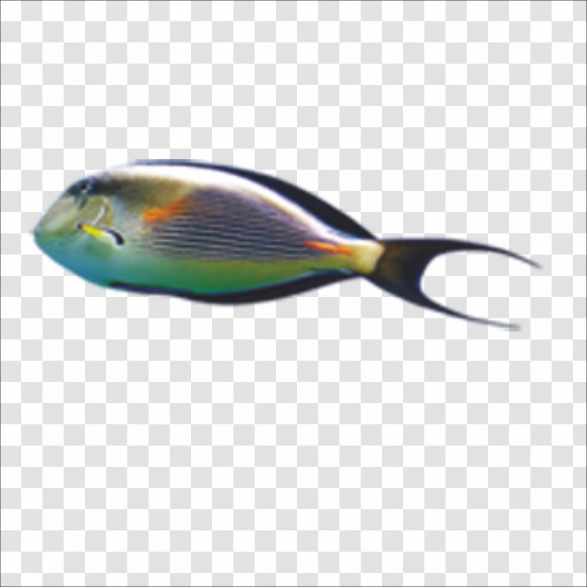 Fish - Spinnerbait Transparent PNG