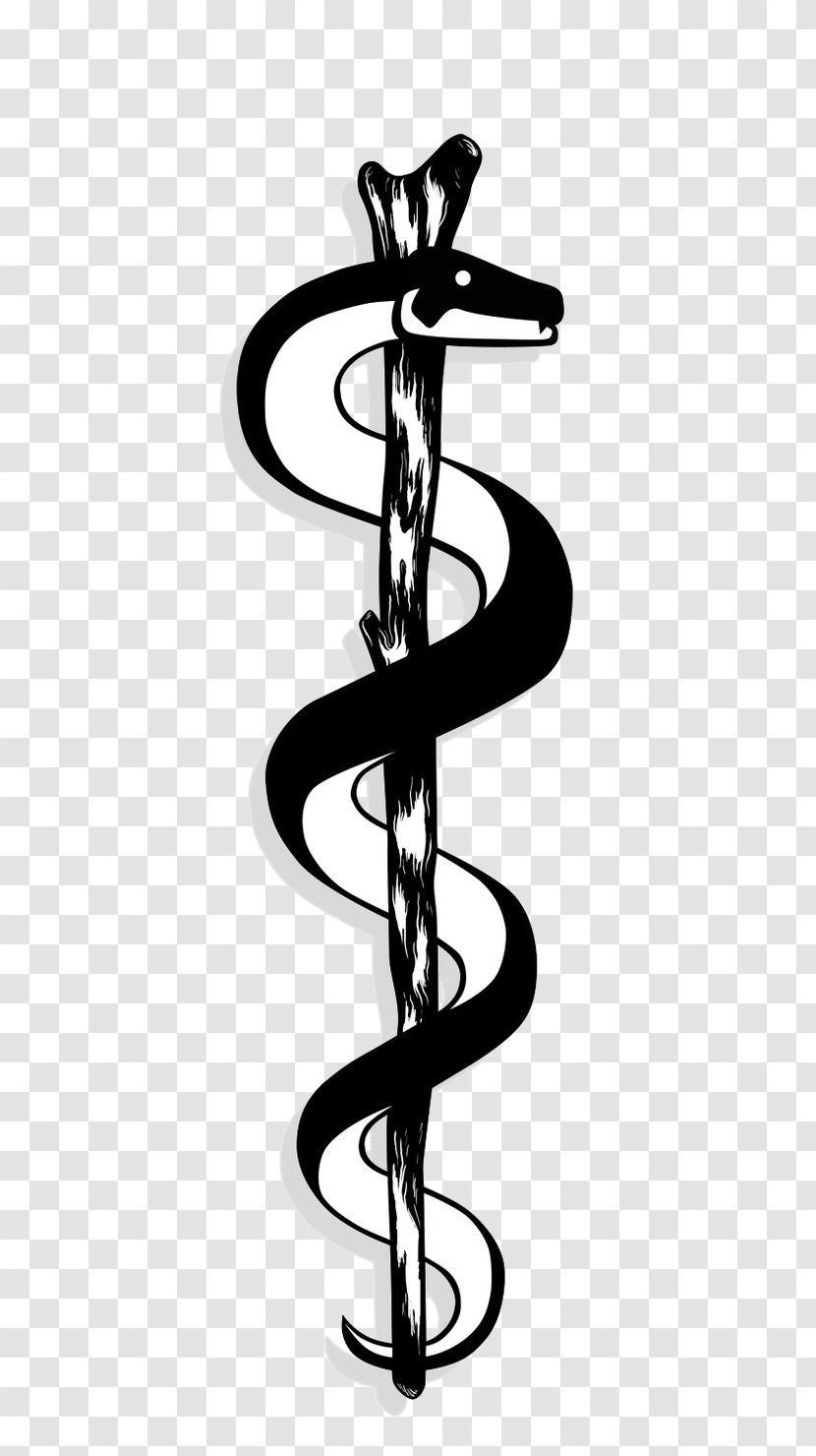 Apollo Rod Of Asclepius Staff Hermes Caduceus As A Symbol Medicine - Black And White Transparent PNG