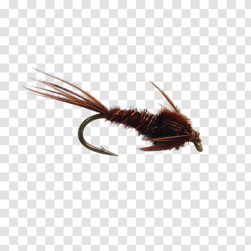 Artificial Fly Pheasant Tail Nymph Fishing Tying - Hackle Transparent PNG