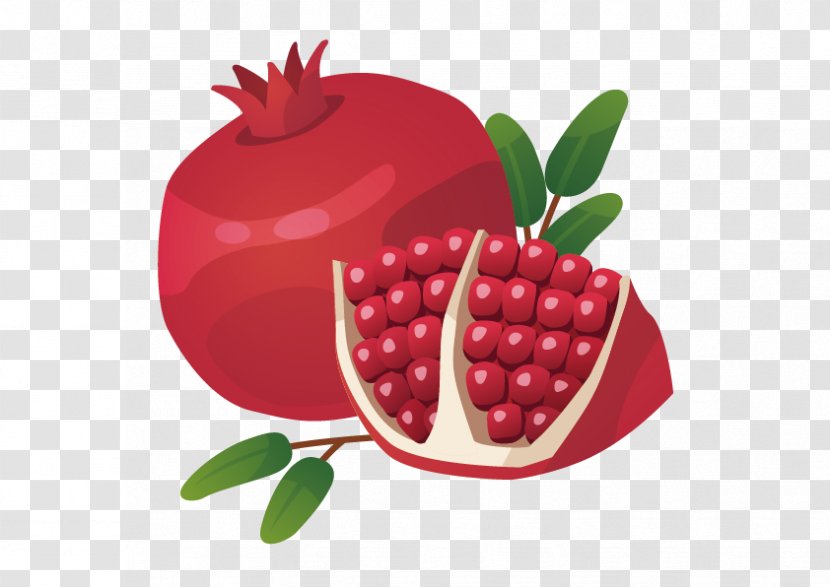 Pomegranate Royalty-free Food Icon - Snack - Vector Transparent PNG