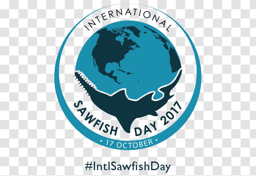 Sawfish Logo Sawshark - International South Cooperation Day Transparent PNG