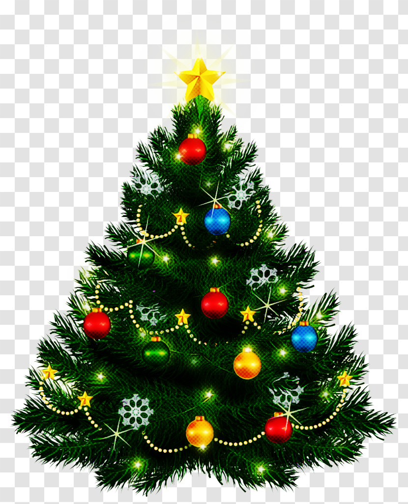 Christmas Tree Transparent PNG