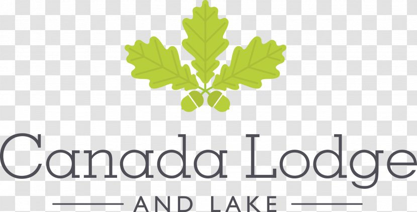 Wedding Fayre At Canada Lodge & Lake Hotel Accommodation Transparent PNG