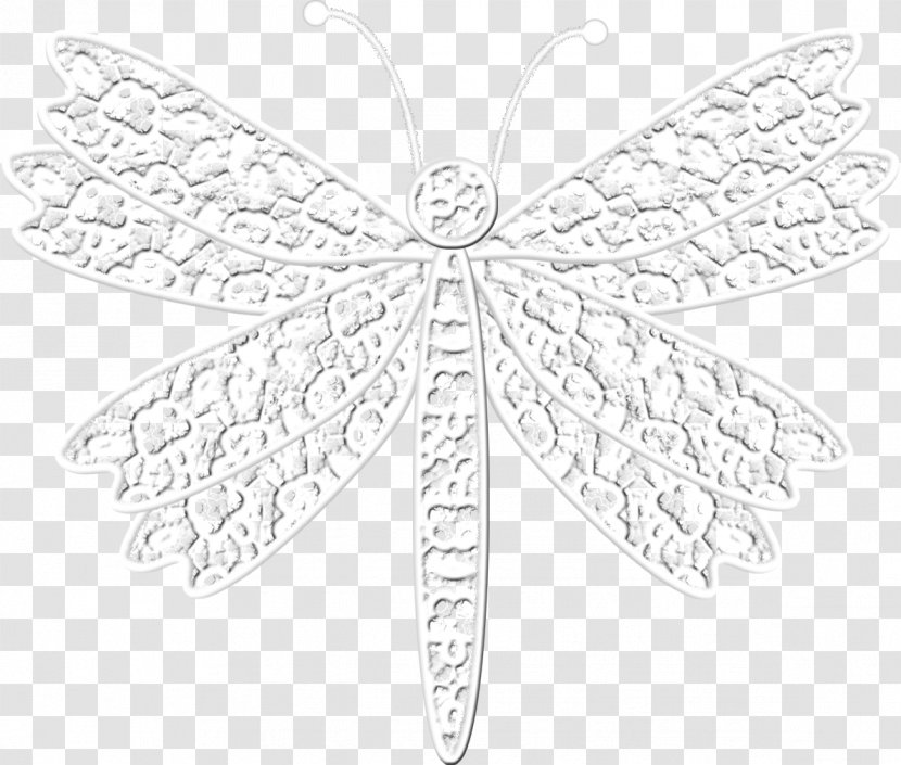 Insect Butterfly Drawing Monochrome - Photography - Lace Transparent PNG