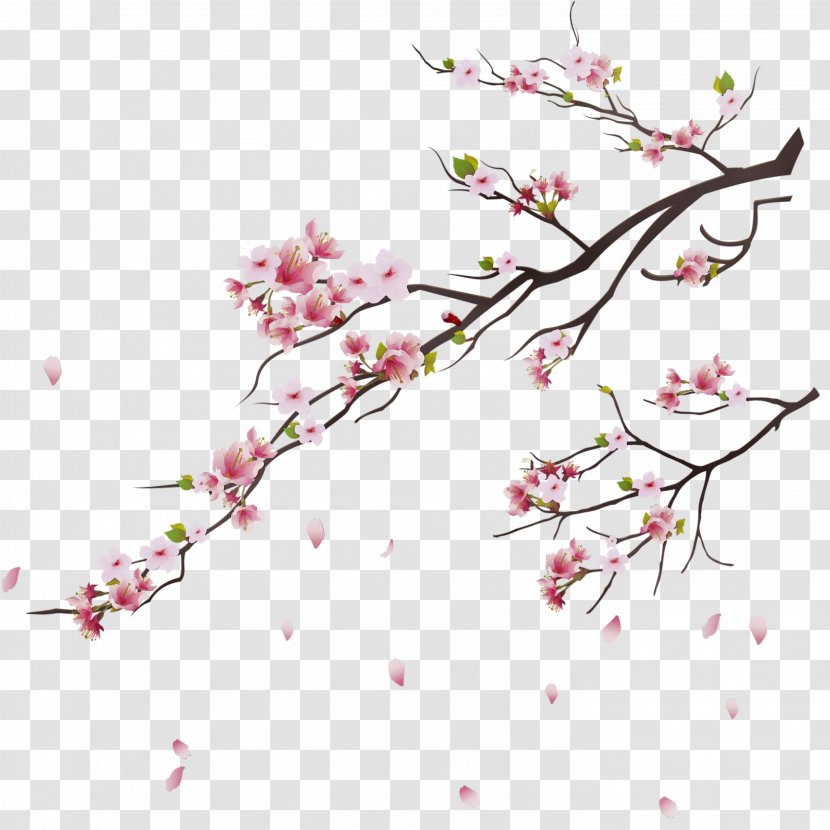 Cherry Blossom Tree Drawing - Paint - Plant Stem Pedicel Transparent PNG