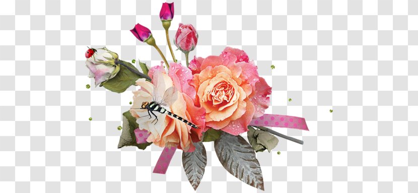 Garden Roses Flower - Nosegay - Rose Transparent PNG