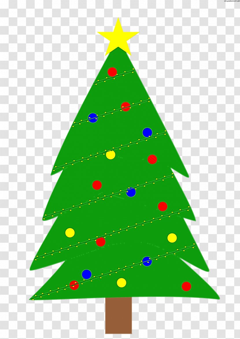 Christmas Tree - Watercolor - Conifer Fir Transparent PNG