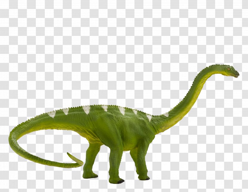Diplodocus Baryonyx Tyrannosaurus Suchomimus Apatosaurus - Dinosaur Transparent PNG