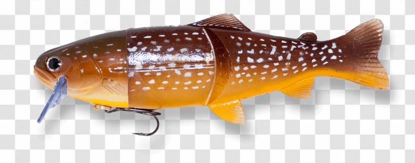 Plug Northern Pike Perch Castaic Fishing Baits & Lures - Recreational - Pikes Transparent PNG