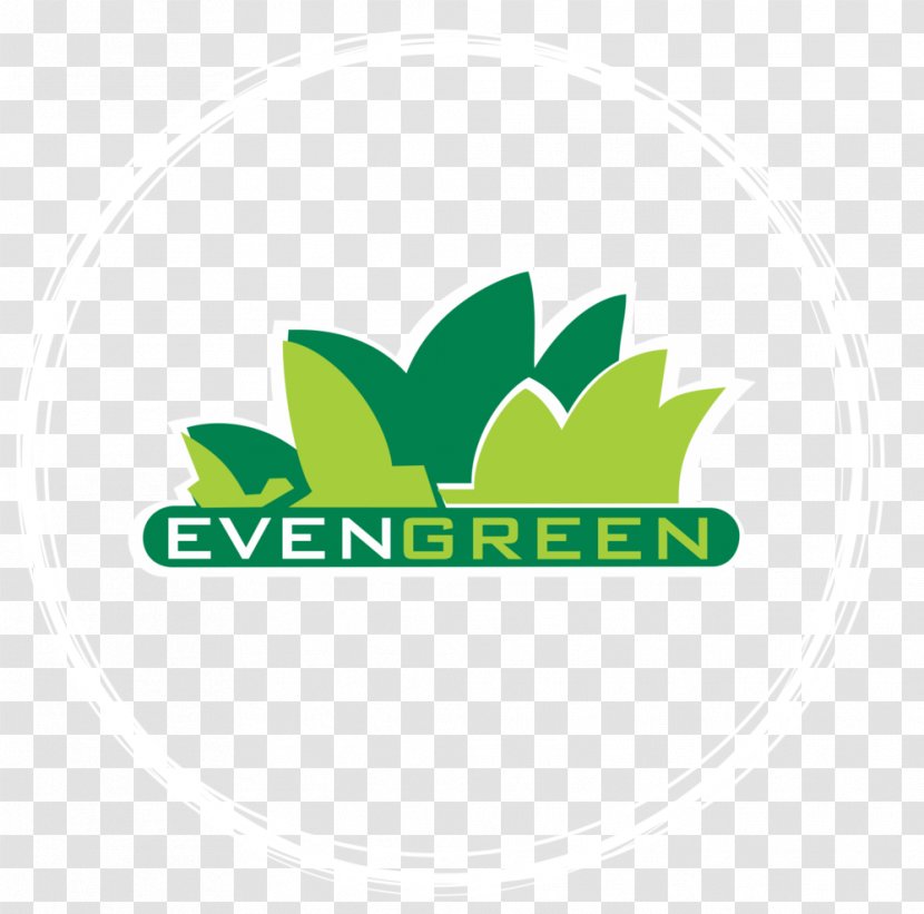 Logo Product Design Brand Font - Grass - Medicinal Material Transparent PNG