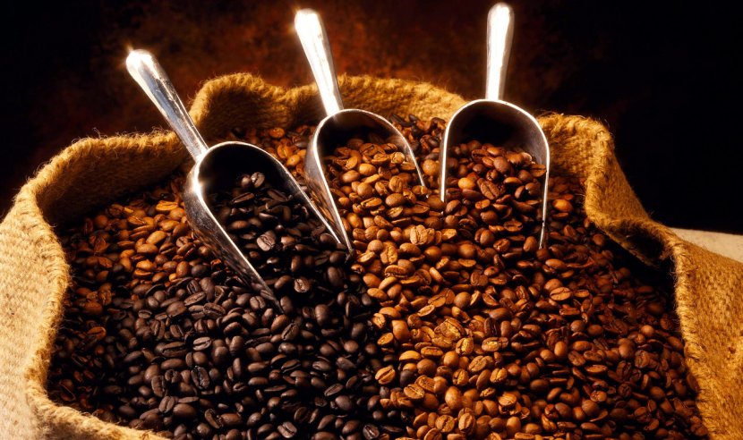 Coffee Bean Espresso Latte Cafe - Beans Transparent PNG