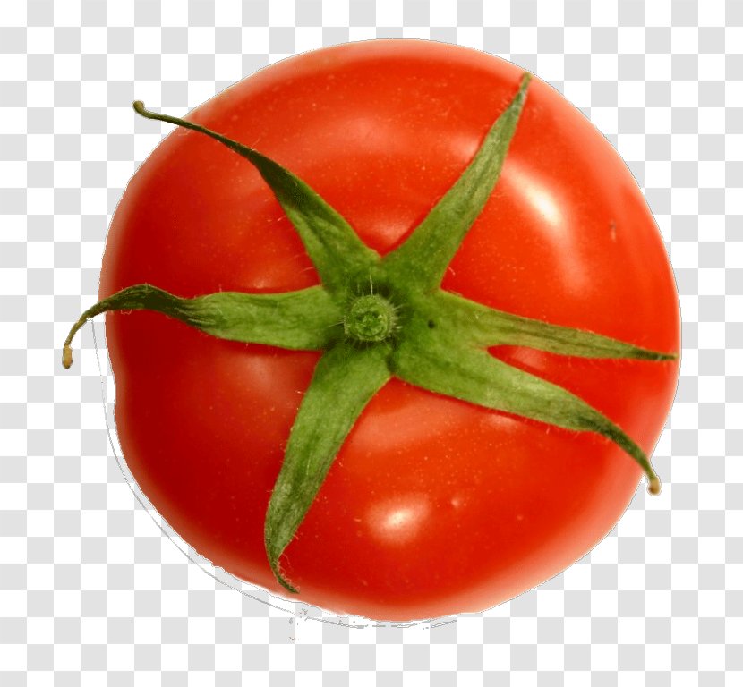 Tomato Cartoon - Cherry - Superfood Vegan Nutrition Transparent PNG