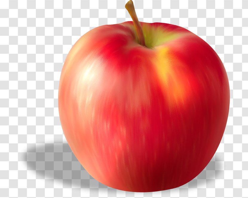 Apple Fruit Clip Art - Photography - Red Transparent PNG