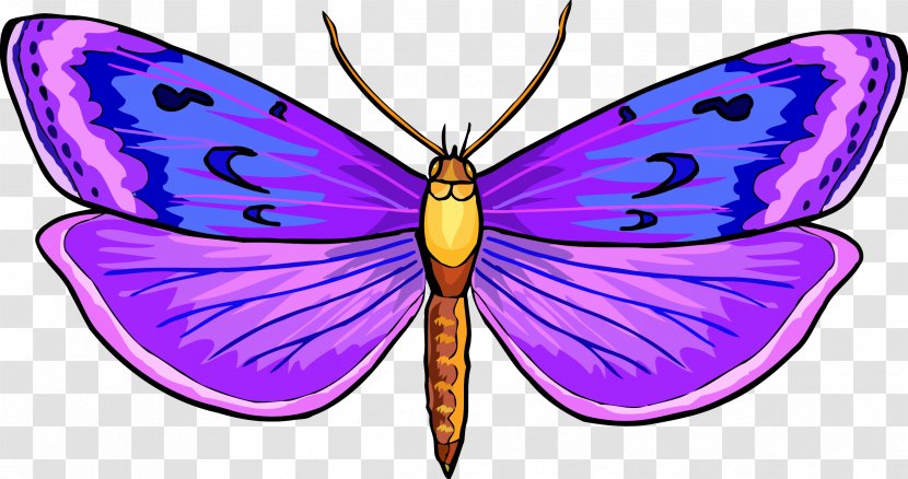 Monarch Butterfly Drawing Insect Clip Art - Moths And Butterflies Transparent PNG