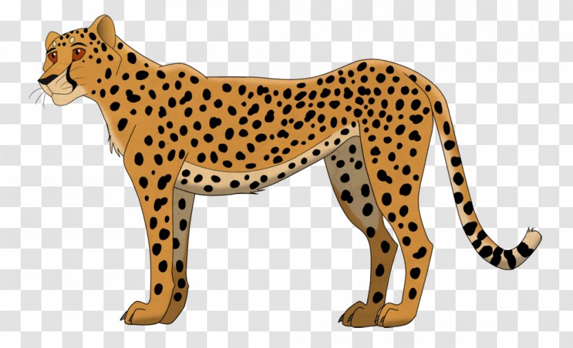 Cheetah Cat Jaguar Leopard Mammal - Organism Transparent PNG
