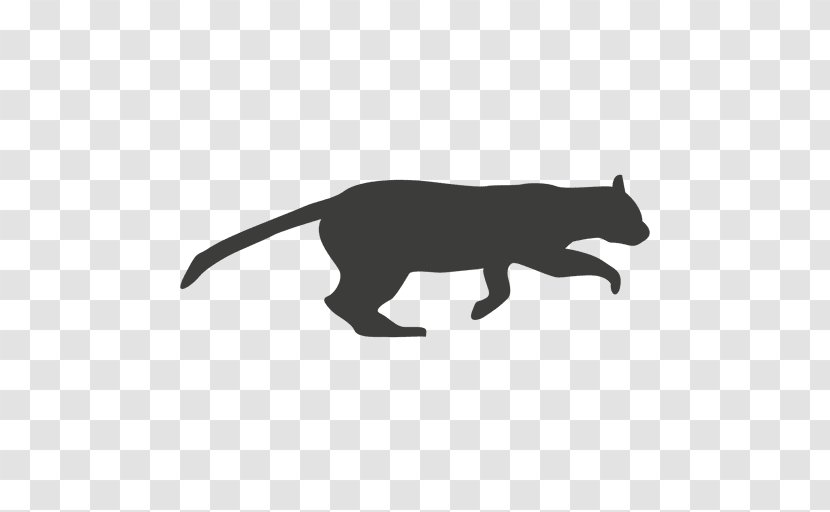 Cat - Black And White - Wildlife Transparent PNG