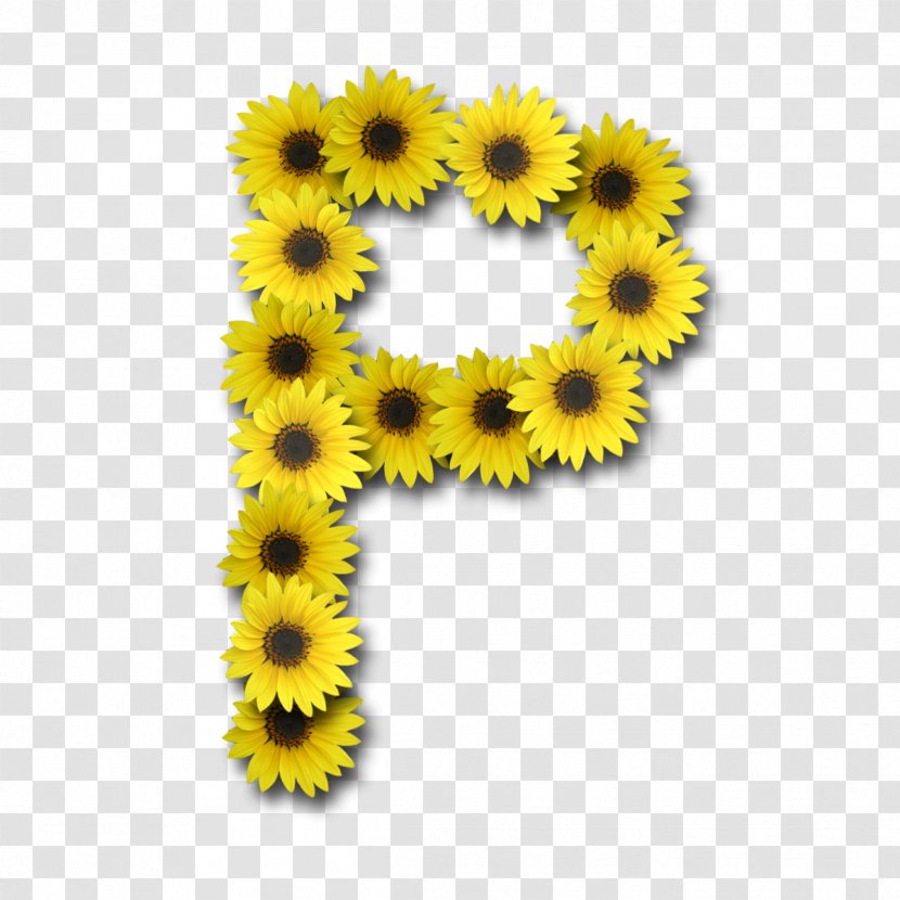 Alphabet Letter Common Sunflower - Yellow - Sun Flower Transparent PNG