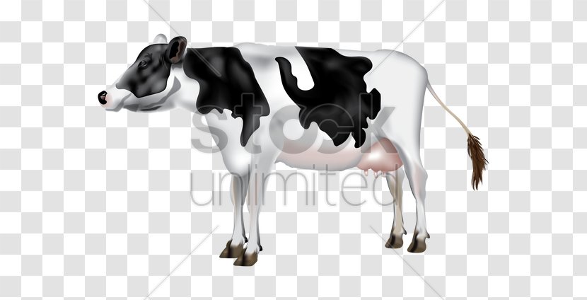 Dairy Cattle Calf Milk - Singing - Mastitis In Transparent PNG