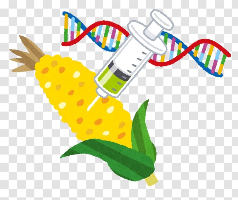 Genetically Modified Food Crops Genetic Engineering Maize - Yellow - Corn Transparent PNG