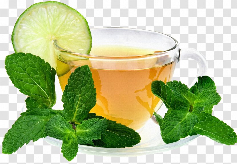Maghrebi Mint Tea Green Drink - Flavor Transparent PNG