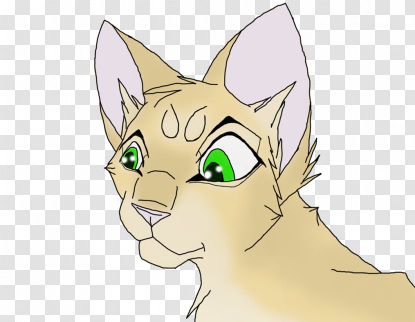 Whiskers Kitten Cat Drawing - Cartoon Transparent PNG